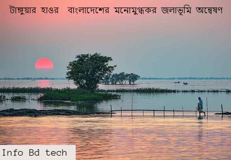 টাঙ্গুয়ার হাওর  বাংলাদেশের মনোমুগ্ধকর জলাভূমি অন্বেষণ