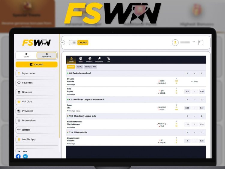 FSWin website