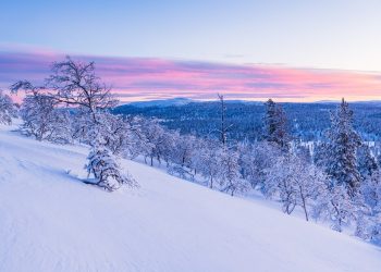 শীতকাল নিয়ে ক্যাপশন