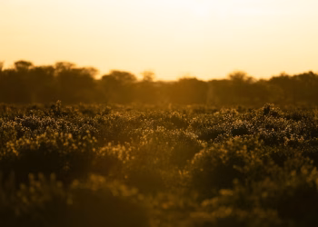 গরম নিয়ে জোকস