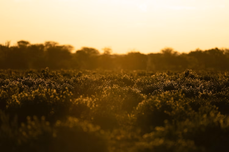 গরম নিয়ে জোকস