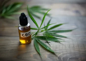 How CBD Pre-Rolls Are Changing the Cannabis Experience
