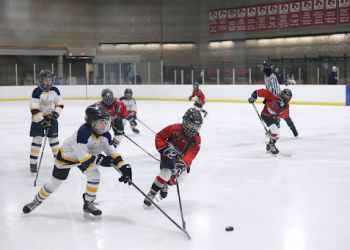 Hockey a Squad: How India Is Expanding Its Depth Bench