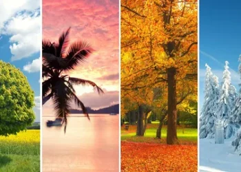 the season i like most composition