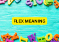 Flex Meaning in Bengali: Literal এবং Slang অর্থ সহজভাবে
