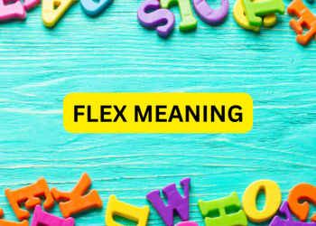 Flex Meaning in Bengali: Literal এবং Slang অর্থ সহজভাবে