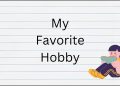 my favourite hobby composition