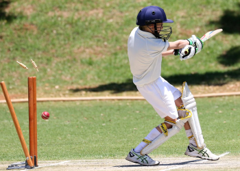 Cricket Betting in India: How to Use Statistics to Win