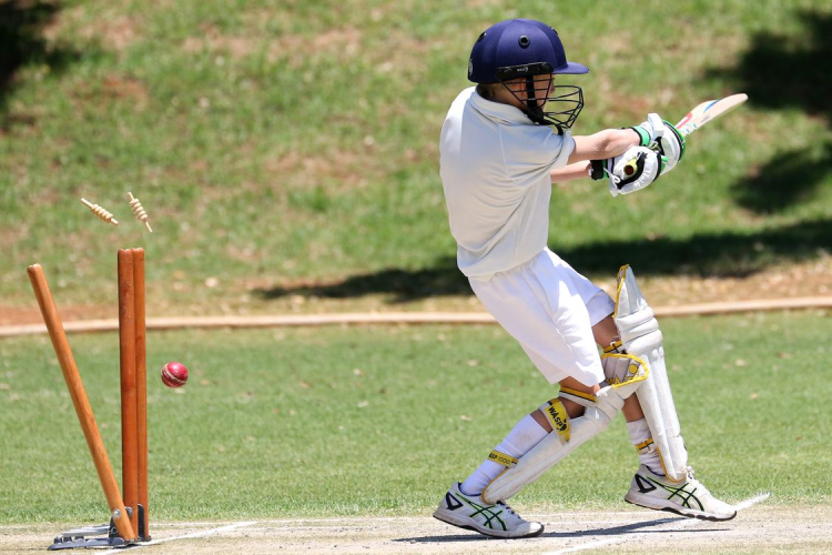 Cricket Betting in India: How to Use Statistics to Win