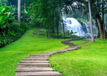 Nature Caption Bangla