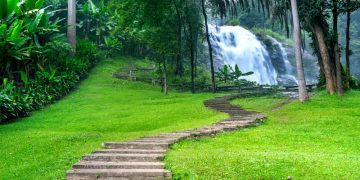 Nature Caption Bangla