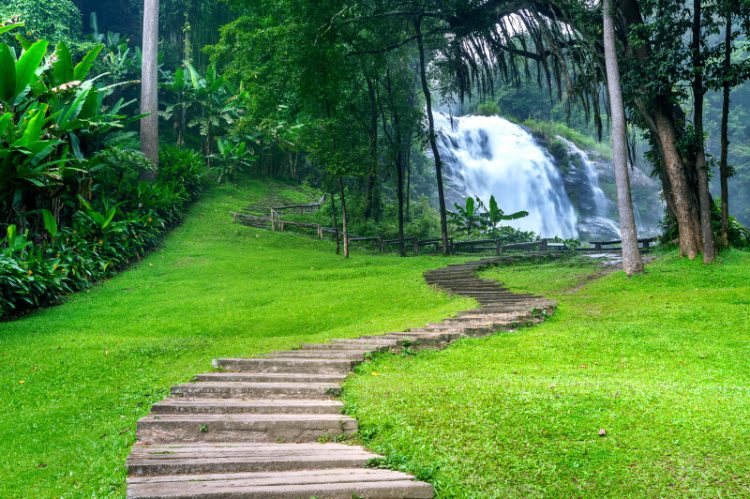 Nature Caption Bangla